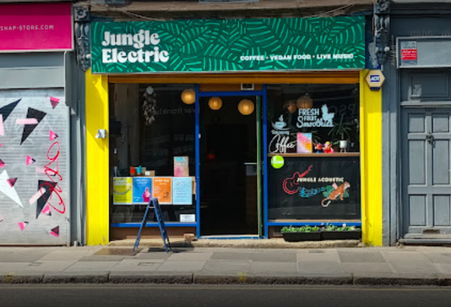 Jungle Electric — photo