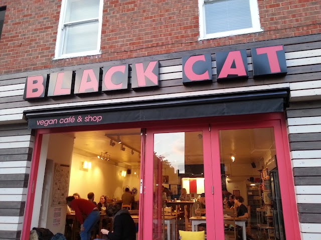 Black Cat café — photo