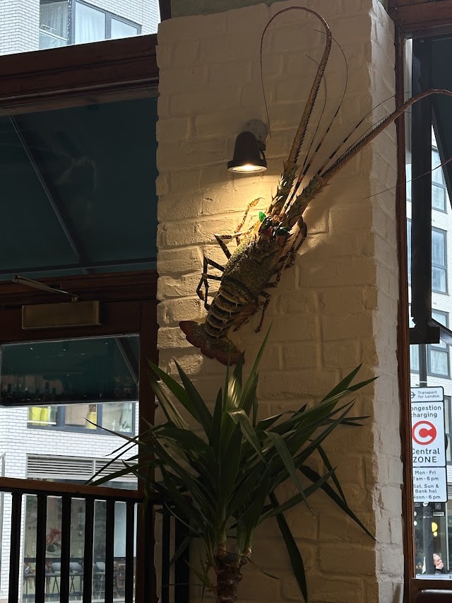 Sông Quê - Phở Bar — photo